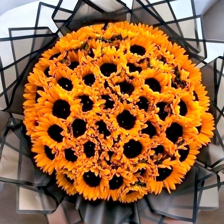 imagen 30_girasoles